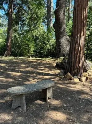 a stone bench sitting in a park with trees at Family get away Near Sly Park Lake & Apple Hill in Pollock Pines
