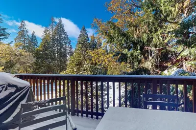 a wooden deck with a bench and trees at Baby Bear Bliss in Shaver Lake