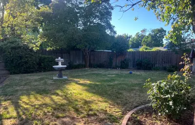 a backyard with a bird bath in the grass at Casa Pura Vida in Modesto