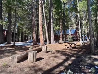 a picnic area with a picnic table and trees at 1B Heart of the Meadow at The Redwoods In Yosemite in North Wawona