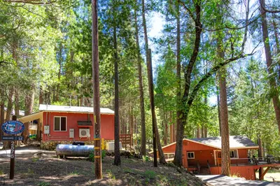 a cabin in the middle of a forest at Riverfront Retreat in North Wawona