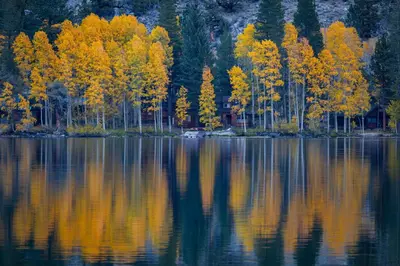 a group of trees with their reflections in the water at Sierra Vista Near Yosemite #Majestic Views# Tesla EV in Oakhurst
