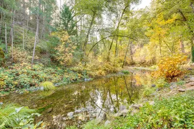 a stream in a wooded area with trees at Bear Lodge Waterfront Cabin with Level 2 EV Charger in Sutter Creek