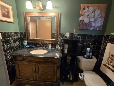 a bathroom with a sink and a mirror and a toilet at Charming peaceful stay in Sacramento