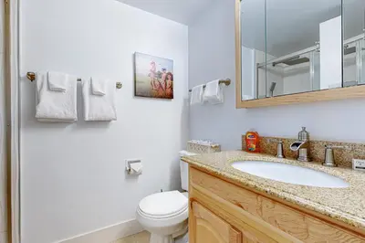 a bathroom with a sink and a toilet and a mirror at The Pines Chalet in Incline Village