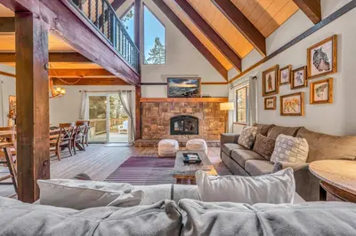 a living room with a couch and a fireplace at Beautiful Homewood Retreat with Deck and Grill in Homewood