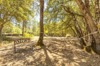 a bench sitting next to a tree in a park at Cody's Comfy Cabin- Near Yosemite in Mariposa