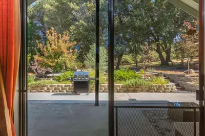 a view of a garden from a window at Cody's Comfy Cabin- Near Yosemite in Mariposa