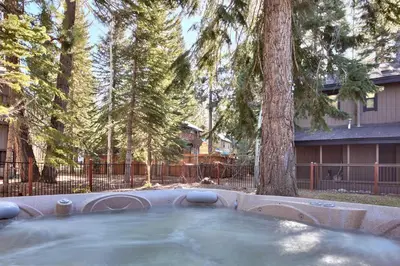 a hot tub in a yard next to a tree at 2272L The Lupine Lodge in South Lake Tahoe