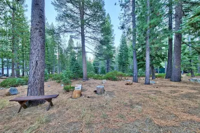 a park with a bench in a forest with trees at 1965NP The Bears Den in South Lake Tahoe