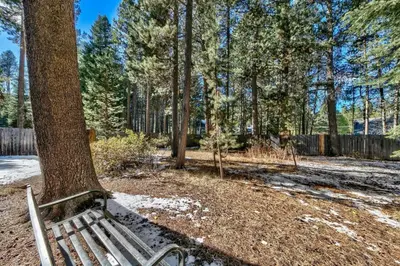 a park bench sitting next to a tree at 1207S Cabin in the Pines in South Lake Tahoe
