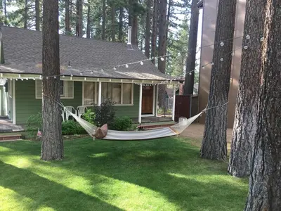 a hammock in a yard in front of a house at 3993C Cedar Cabin Lake Tahoe in South Lake Tahoe