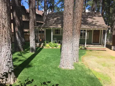 a green house with trees in the yard at 3993C Cedar Cabin Lake Tahoe in South Lake Tahoe