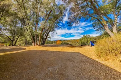 an empty driveway with trees in the background at Yosemite Wooded Hills, Pool Table, Fitness, Views in Oakhurst