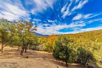 an open field with trees and a blue sky at Yosemite Wooded Hills, Pool Table, Fitness, Views in Oakhurst