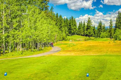 a golf course with a winding road and trees at The Cozy Condo in Kingswood Estates