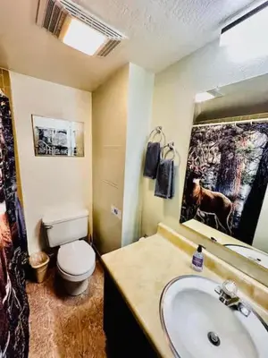 a bathroom with a toilet and a sink and a mirror at Treetop Condo in Yosemite-Sleeps 6-Balcony in Yosemite West