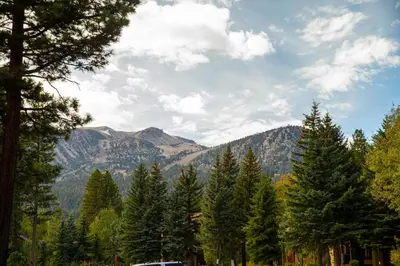 a group of trees with mountains in the background at Plush Mammoth Condo w Balcony Views in Mammoth Lakes