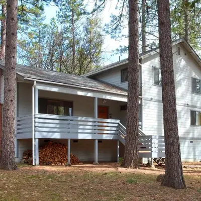 Cabin Among the Firs