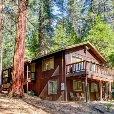 Cecil's Cabin