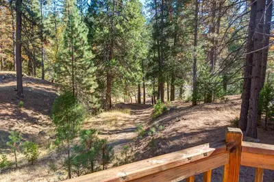 a view of a forest from a wooden deck at River Refuge in Wawona