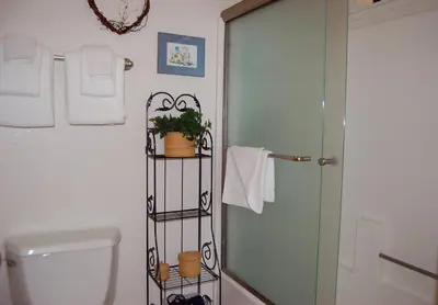 a bathroom with a shower and a toilet with a plant at Big Cedar in Wawona
