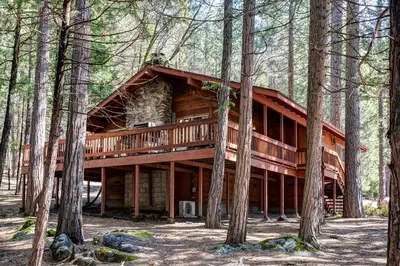 a log cabin in the woods with trees at Robin's Nest in Wawona