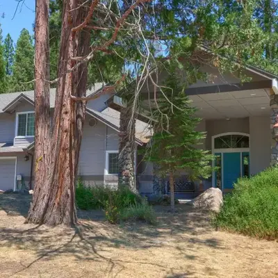 The Terry Cabin