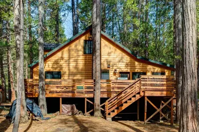 a log cabin in the middle of the forest at Big Pine Lodge in Wawona
