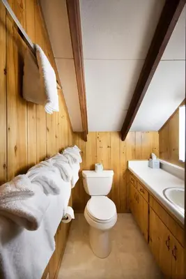a bathroom with a toilet and a sink at Grandma's Cabin in Wawona