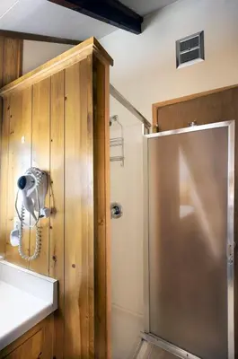 a bathroom with a shower and a sink and a mirror at Grandma's Cabin in Wawona