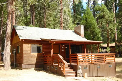 a small cabin in the woods with a tree at Cubby's Den in Wawona