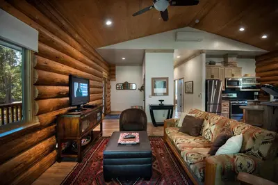 a living room with a couch and a tv at The Mini Cabin in Wawona