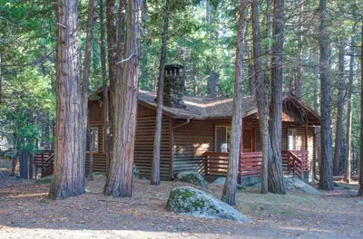a log cabin in the middle of the forest at Pine Creek Cabin in Wawona