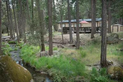 a house in the woods with a stream in front of it at Rosenberg's Creekside Cabin in Wawona