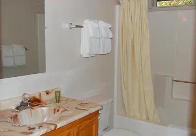 a bathroom with a sink and a toilet and a shower at Altitude Adjustment in Wawona