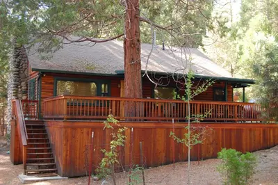 a log cabin with a large deck and a tree at Sugar Pine Suite in Wawona