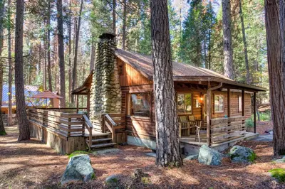 a log cabin in the woods with a tree at Creekside Cabin in Wawona