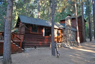 a log cabin in the middle of the woods at Squirrel's Nest in Wawona