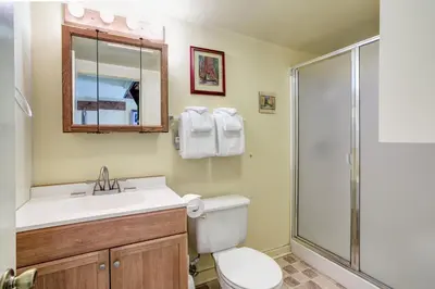 a bathroom with a toilet and a sink and a shower at Chatterton's Cottage in Wawona
