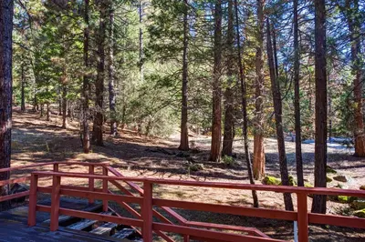 a red bench in a wooded area with trees at Deer Hollow in Wawona