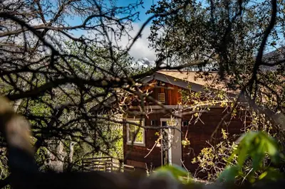 a house is seen through the branches of a tree at Alta Peak Penzion in Three Rivers