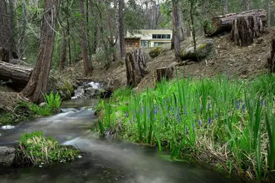 a stream in the woods with a house in the background at Yosemite's Meadow Haven 2358 in Wawona