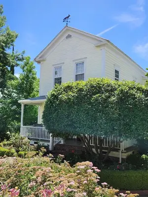 a white house with a hedge in front of it at Brinnwood Bed & Breakfast in Sutter Creek