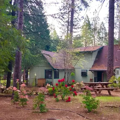 Groovy Cabin in the Woods