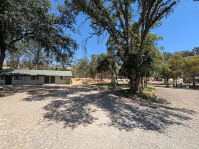 a tree in the middle of a dirt road at Squaw Valley Motel Room #1 in Squaw Valley