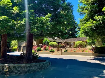 a house with a tree in the middle of a driveway at King Bed-Peaceful Modern Cottage-Garden Setting in Carmichael