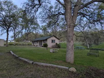 a small house in a field next to a tree at Squaw Valley Motel Room 8 in Squaw Valley