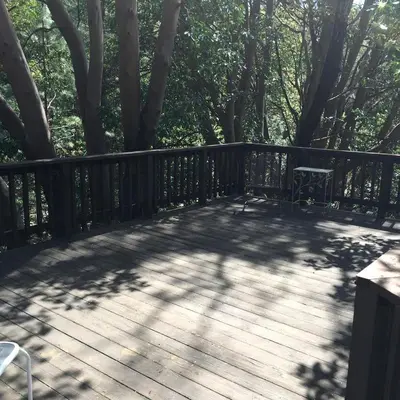 a wooden deck with a bench and trees at Unique and Secluded Dome Getaway near Sacramento, California in Pioneer