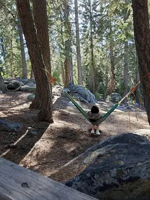 a person sitting in a hammock in a forest at Blue Jay's Nest Sequoia Cabin in Ponderosa, CA in Ponderosa